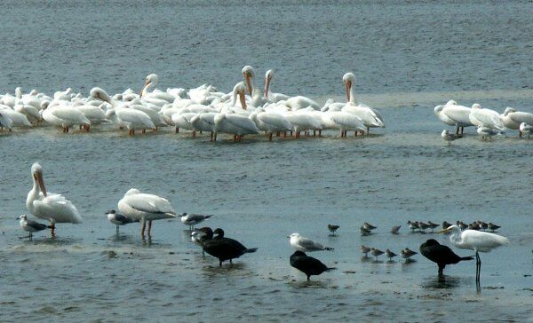 Click to See Next Image